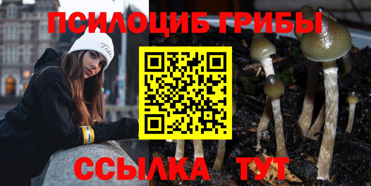 Псилоцибиновые грибы GOLDEN TEACHER Осинники